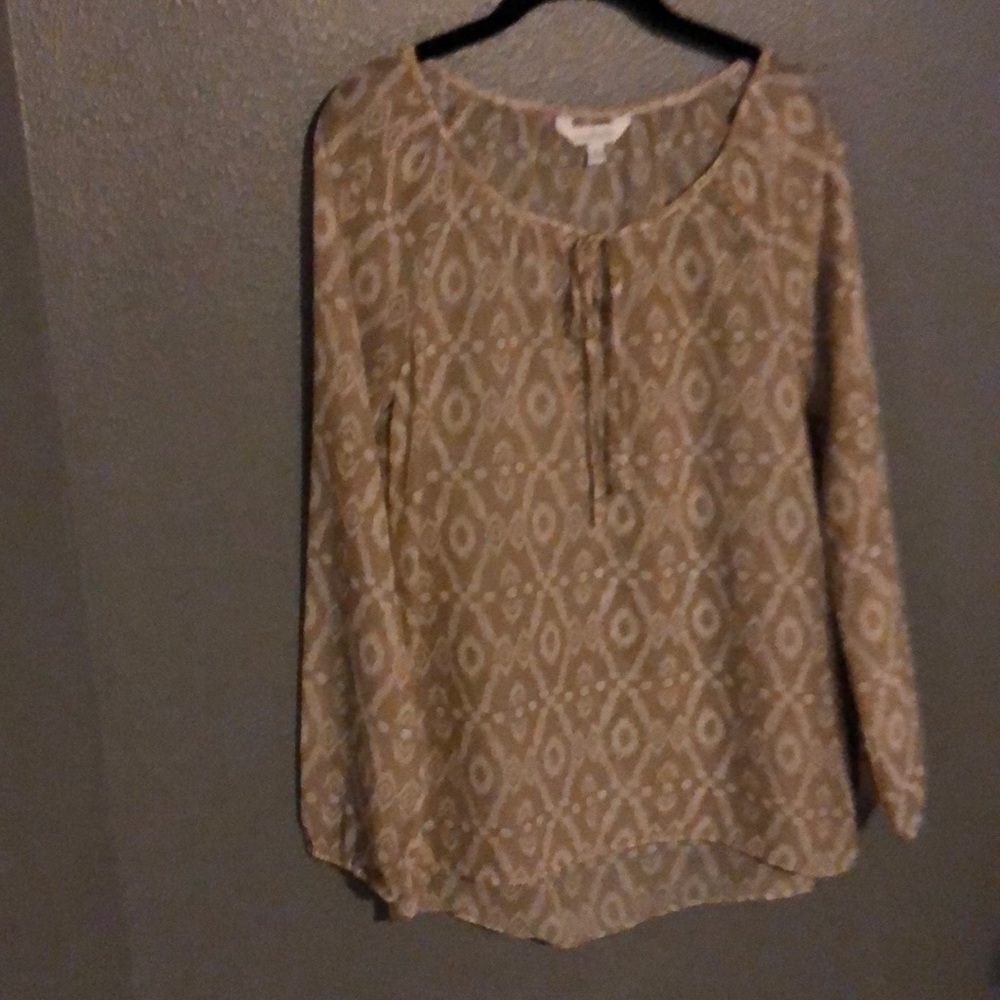 Long sleeve sheer top